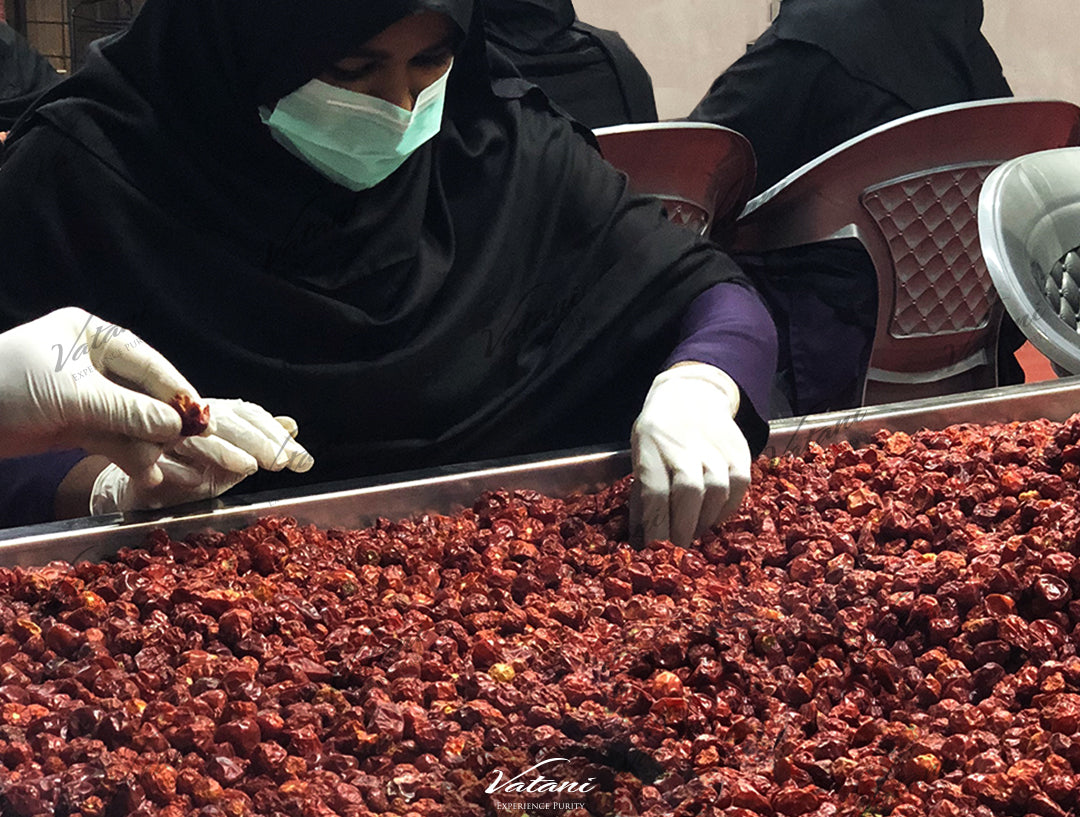 Vatani Red Chilli Sorting